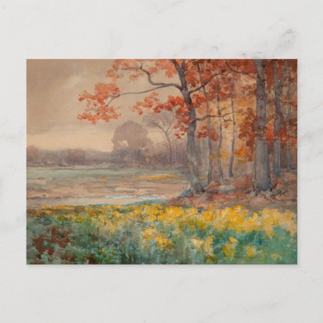 Gula blommor grå dag, 1911 vykort (Framsida)