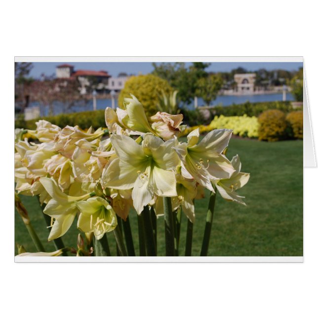 Gula blommor hälsningskort (Framsidan Horizontal)