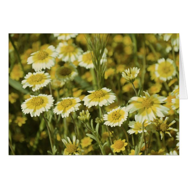 Gula blommor hälsningskort (Framsidan Horizontal)