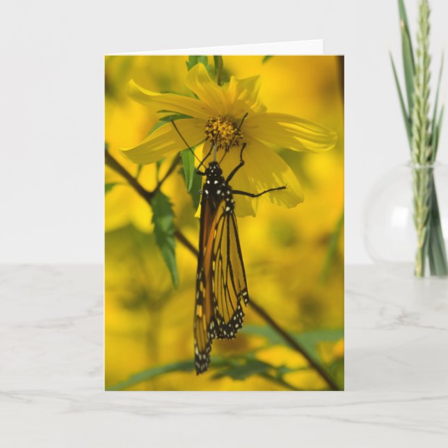Gula blommor hälsningskort kort (Framsida)