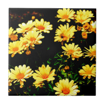 Gula blommor