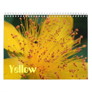 Gula blommor kalender