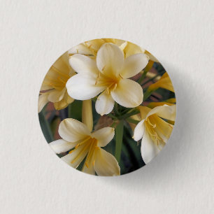 GULA BLOMMOR KNAPP