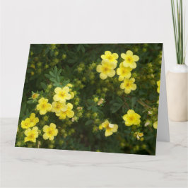 Gula blommor-kort kort