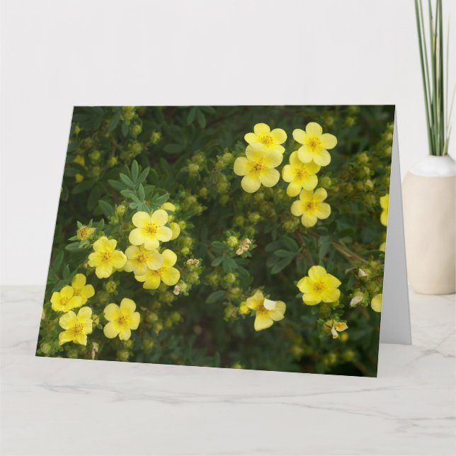 Gula blommor-kort kort (Framsida)