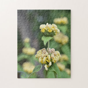 Gula blommor London Lush Garden England Pussel