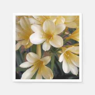 GULA BLOMMOR PAPPERSSERVETT
