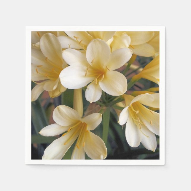 GULA BLOMMOR PAPPERSSERVETT (Framsidan)