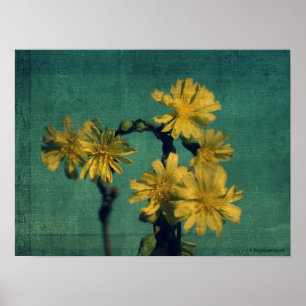Gula blommor poster