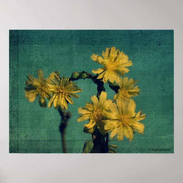 Gula blommor poster (Framsidan)