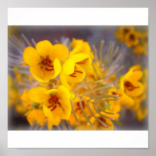 Gula blommor poster