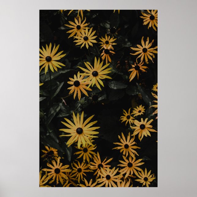 GULA BLOMMOR POSTER (Framsidan)