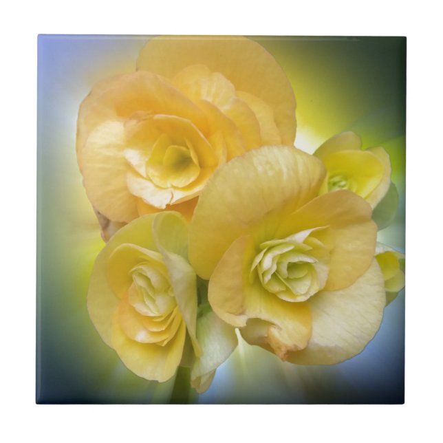 gula blommor shining kakelplatta (Framsidan)