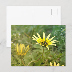 Gula blommor vykort