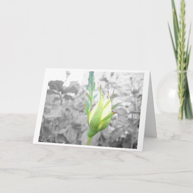 gula bud kort (Framsida)