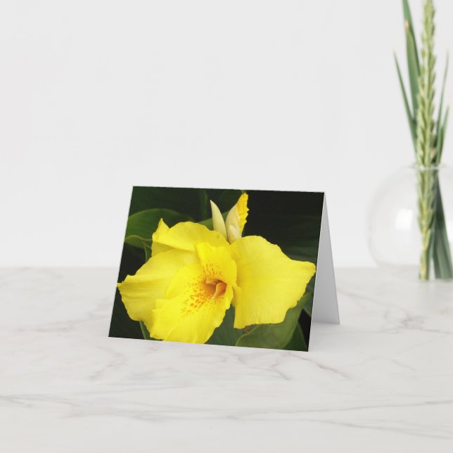 Gula Canna Kort (Framsida)