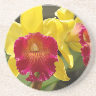 Gula Cattleya Underlägg Sandsten