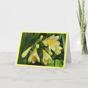 Gula clivea-blommor med gul kantkort kort