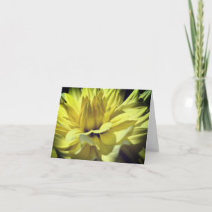 Gula Dahlia Blomblad Fotografering Notering Kort