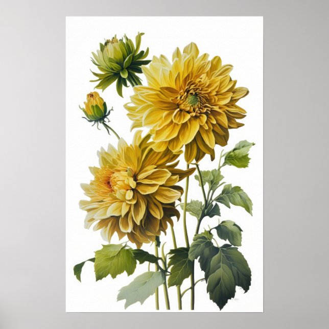 Gula Dahlior Blommig Konsttryck Poster (Framsidan)