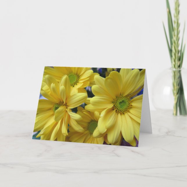 Gula daisy kort (Framsida)