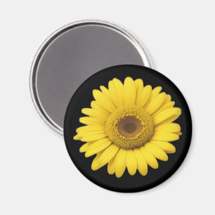 Gula Daisy-kronblad Magnet