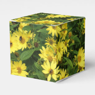Gula daisy presentaskar