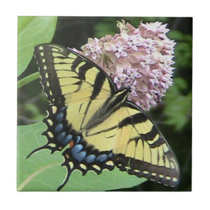 Gula den dekorativa Swallowtail fjärilen belägge Kakelplatta
