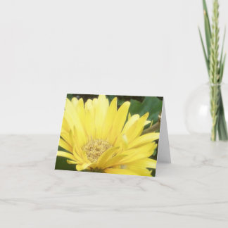 Gula Gerber noterar kortet Kort