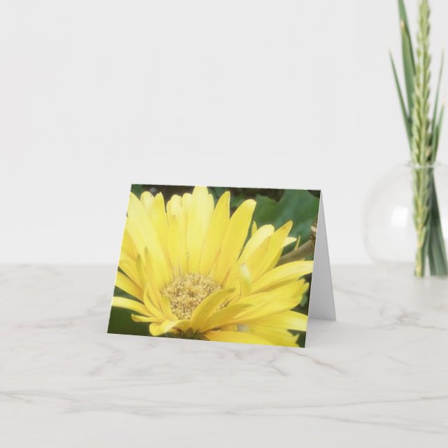 Gula Gerber noterar kortet Kort (Framsida)