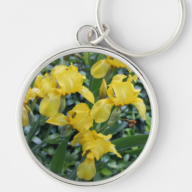 Gula Iris-blommor Rund Silverfärgad Nyckelring (Framsidan)