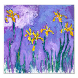 Gula irisar med rosa moln | Claude Monet | Fototryck