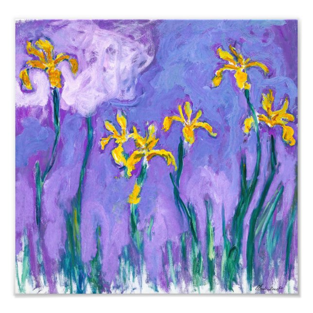 Gula irisar med rosa moln | Claude Monet | Fototryck (Framsidan)