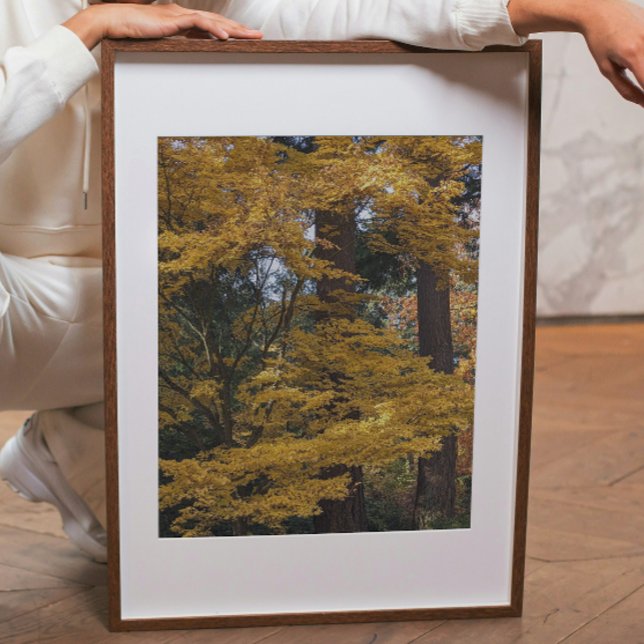 Gula Japanska Lönnblad Botaniska Fototryck (In Situ (Framed))