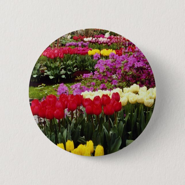gula Keukenhof arbeta i trädgården, Amsterdam, Knapp (Framsida)