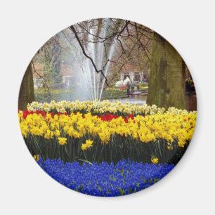 gula Keukenhof arbeta i trädgården, Amsterdam, Magnet