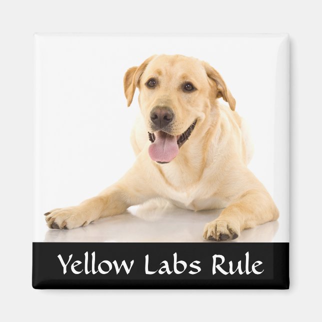 Gula Labourregeln "Labrador Retreiver" Magnet (Framsidan)