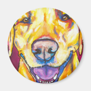 Gula Labrador 1 Magnet