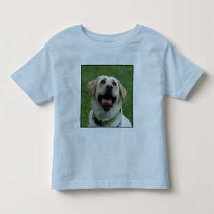 Gula Labrador lurar T-tröja T Shirt