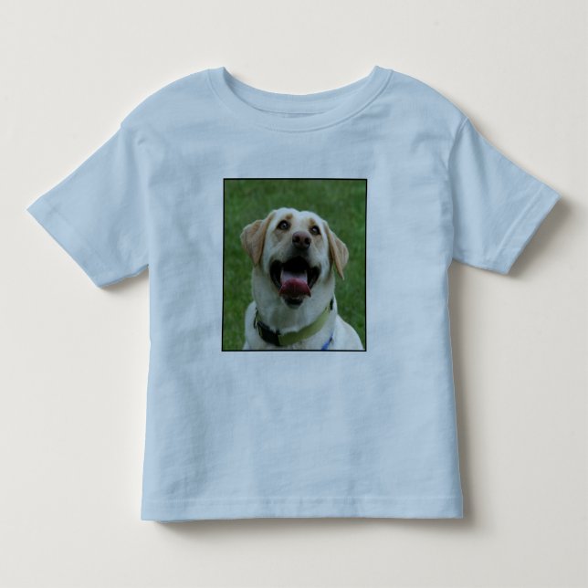 Gula Labrador lurar T-tröja T Shirt (Framsida)