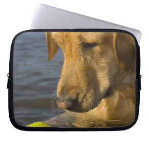 Gula labrador med en tennisboll i vatten laptop fodral