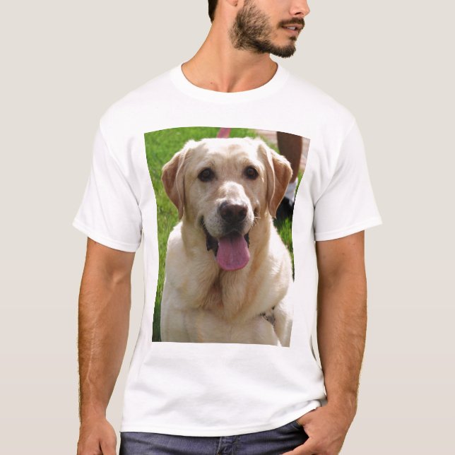 Gula Labrador T-shirt (Framsida)