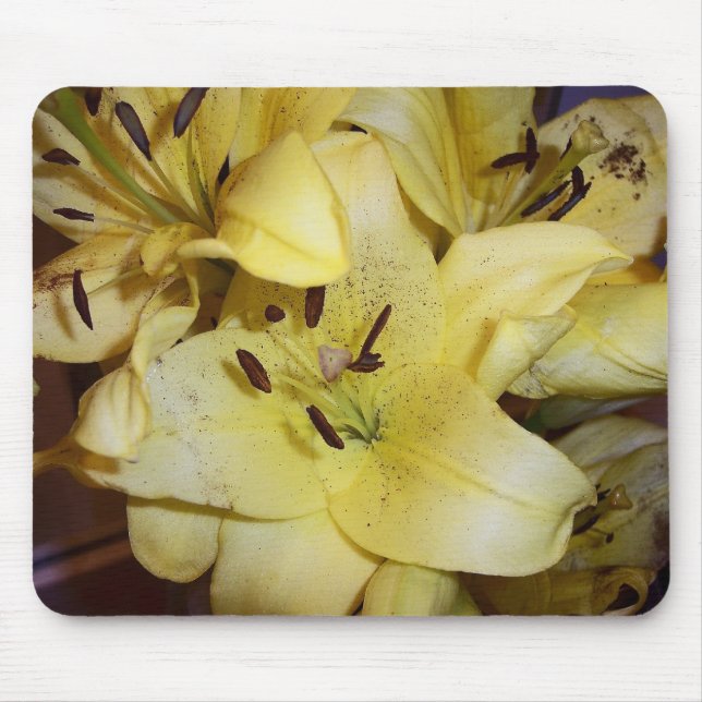 Gula lillies musmatta (Framsidan)