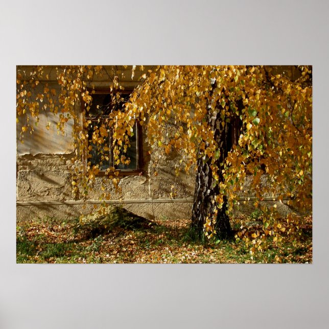 gula löv poster (Framsidan)