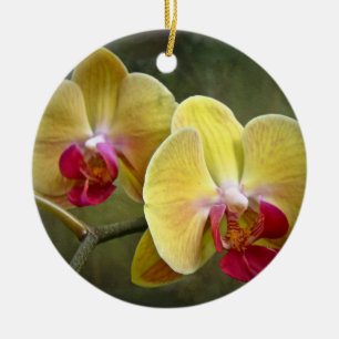 Gula malOrchids - Phalaenopsis Julgransprydnad Keramik