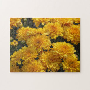 Gula Mums Blommor Trädgårdspussel Pussel