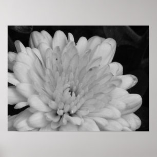 Gula Mums Poster