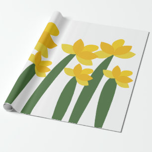 Gula Narciss Krukväxter Blommor Presentpapper