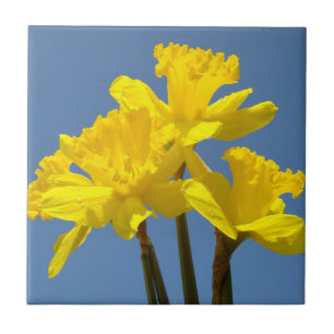 Gula Narcissblommor Kakelkonst Narcisser Kakelplatta