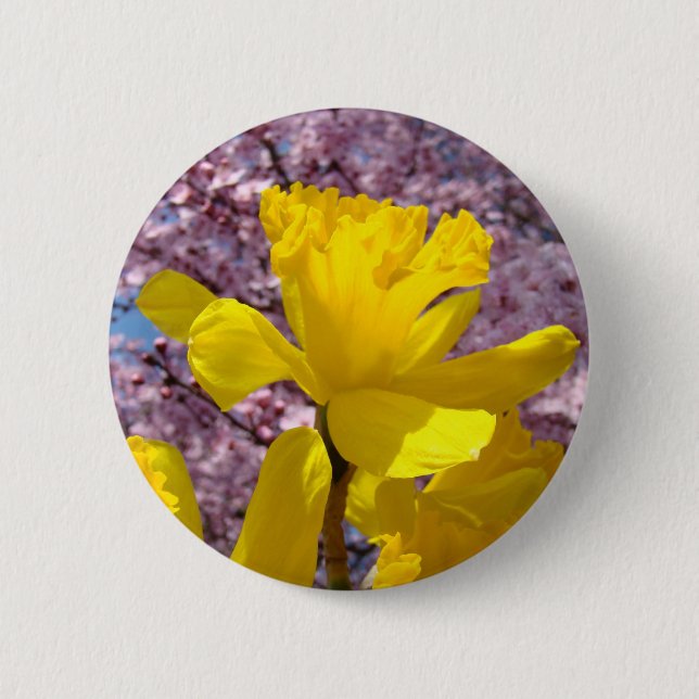 Gula Narcissblommor Knappar Vårblomning (Framsida)